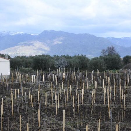La Casa Nel Vigneto Di Tenuta Bastonaca Villa Solicchiata Eksteriør bilde