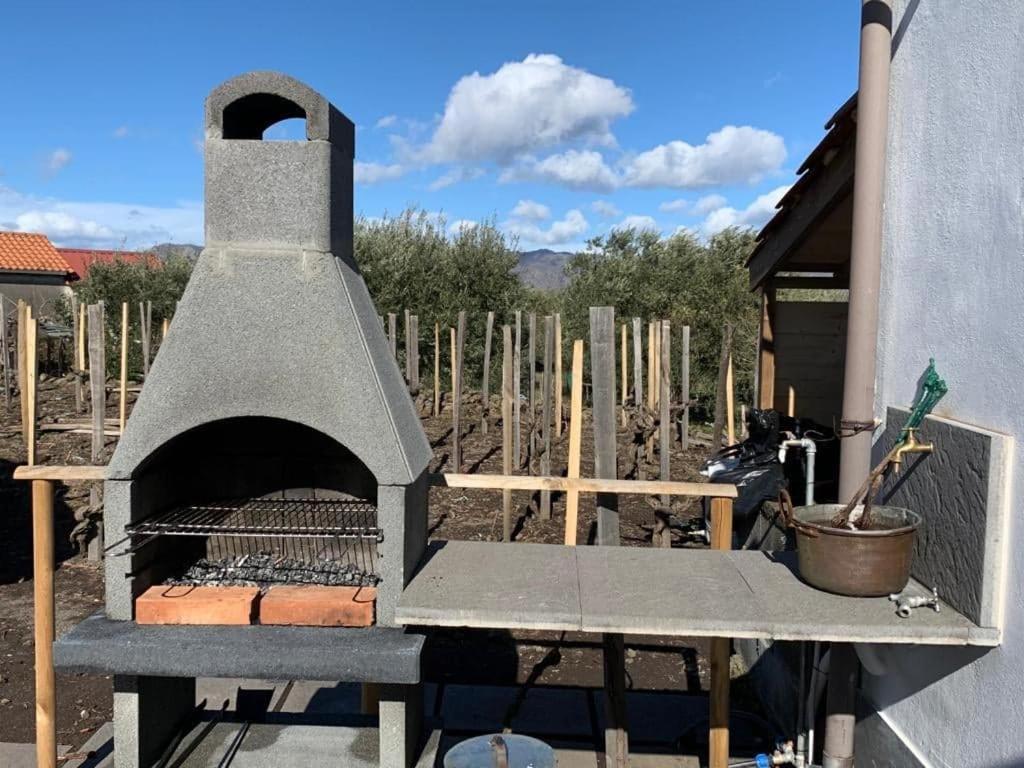 La Casa Nel Vigneto Di Tenuta Bastonaca Villa Solicchiata Eksteriør bilde