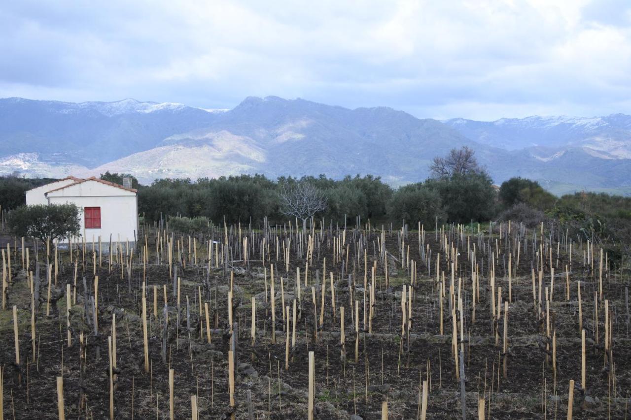 La Casa Nel Vigneto Di Tenuta Bastonaca Villa Solicchiata Eksteriør bilde